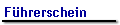 F�hrerschein